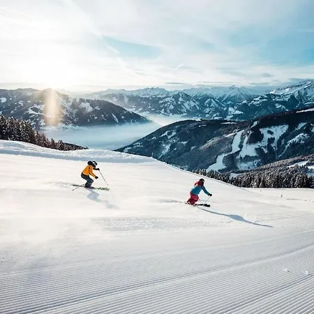 Alpinresort 4